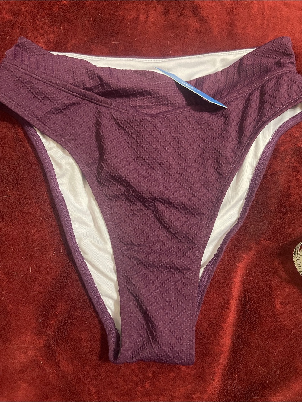 Cupshe Plum Textured High-Cut Bikini Bottom
